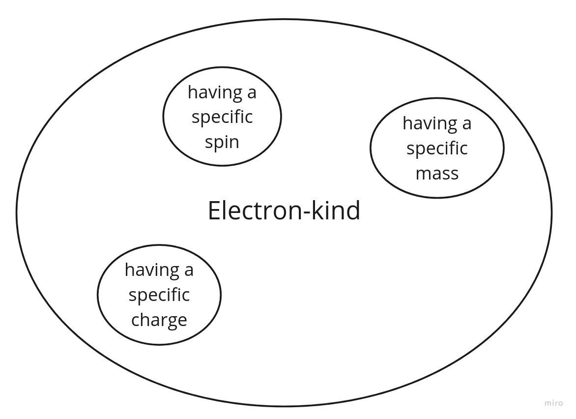 To be an electron is to have a specific charge, spin, and mass